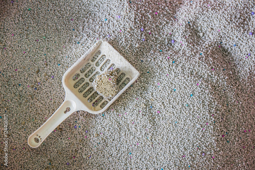 toilet cat Cleaning sand cat  in a litter box