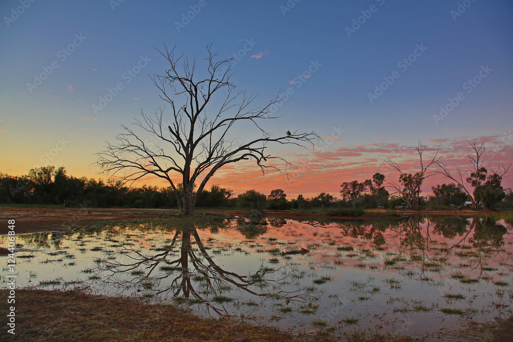 At peace with the world as the sun rises over a waterhole with tree in reflection.