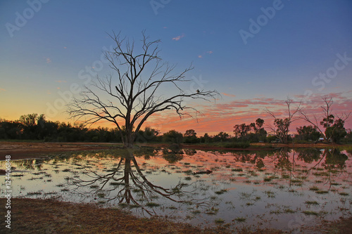 At peace with the world as the sun rises over a waterhole with tree in reflection.