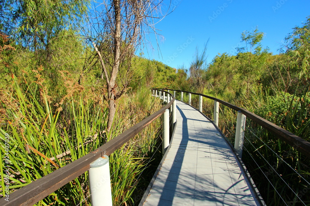 Boardwalk through Australian wetland