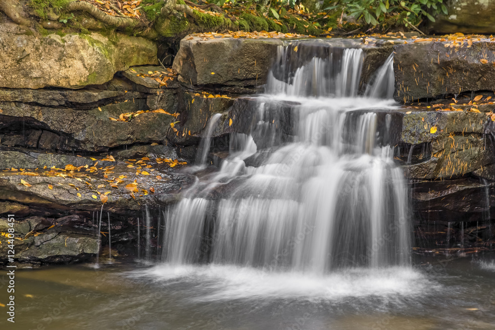 Fototapeta premium Tolliver Falls cascades over a rocky ledge in Swallow Falls State Park, Maryland.