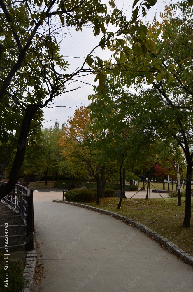 Fototapeta premium 한강 선유도공원