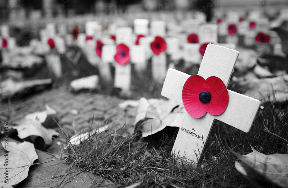 Remembrance day display in Westminster Abbey - obrazy, fototapety, plakaty 