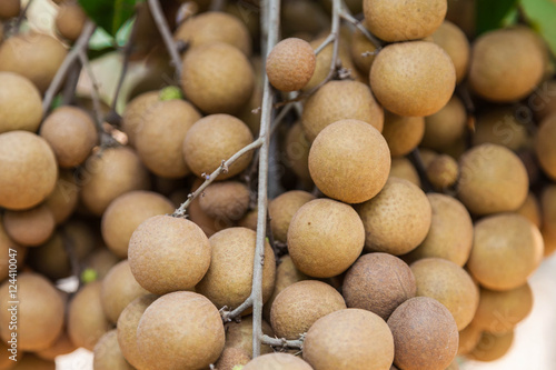 Longan orchards -Tropical fruits longan