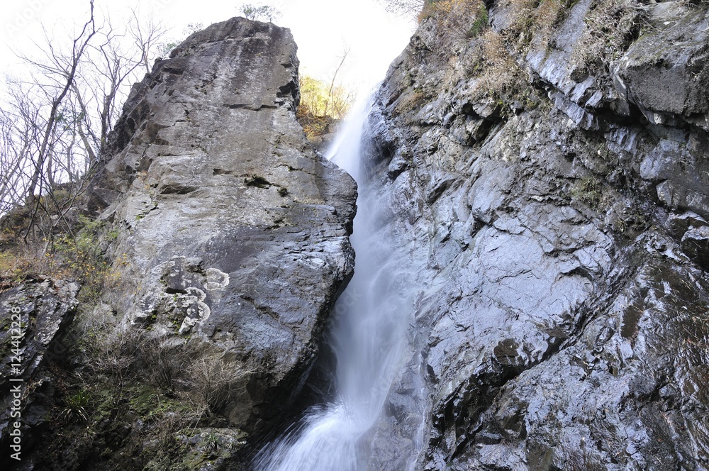 Obraz premium 日本の滝百選 早戸大滝