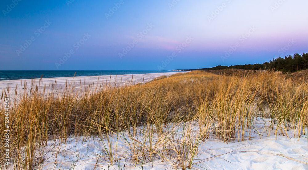 beautiful view of the coastal dunes beautiful view of the coastal dunes