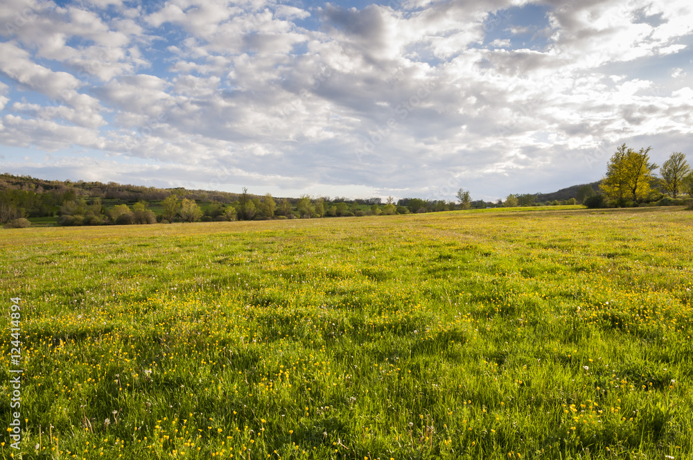 Hay meadows in the Fenar Valley, La Robla Municipality, in Leon Province, Spain