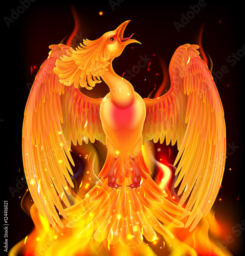 Phoenix Bird Rising From Ashes
