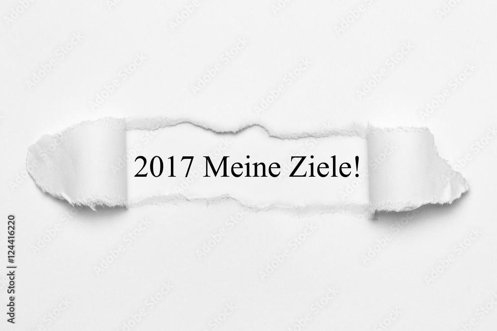 2017 Meine Ziele auf weißen gerissenen Papier 2017 Meine Ziele auf weißen gerissenen Papier