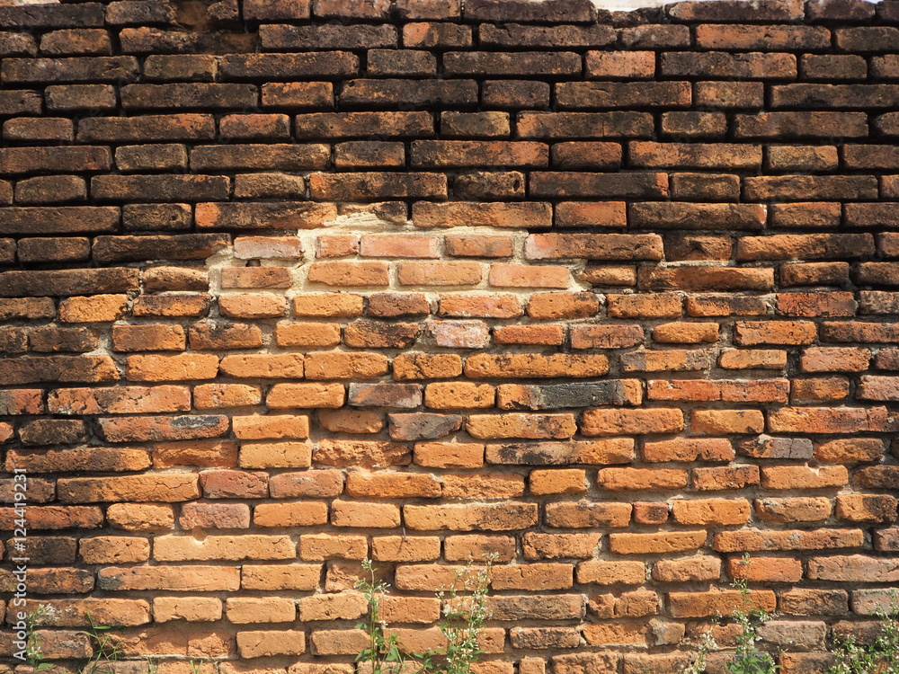 Obraz premium Brick wall