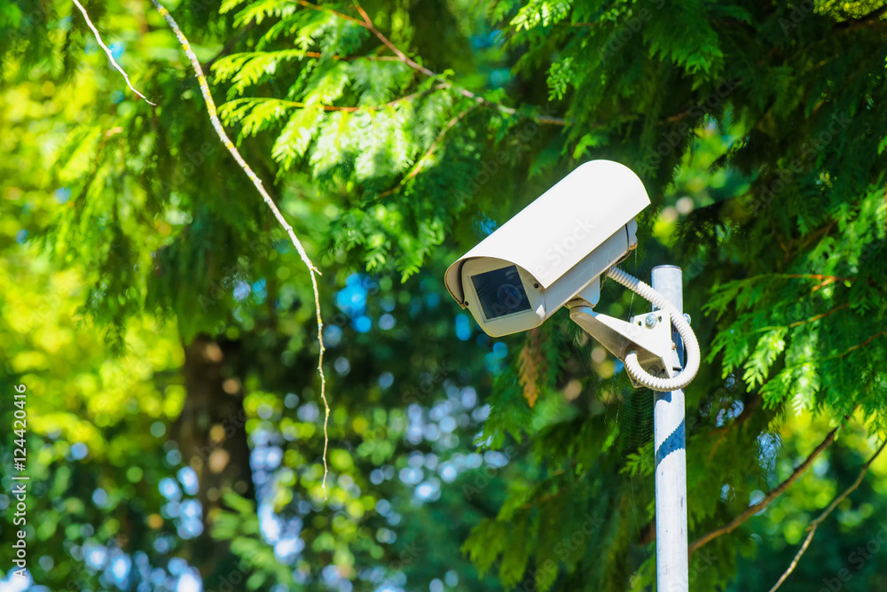 CCTV security camera for surveillance in green park CCTV security camera for surveillance in green park