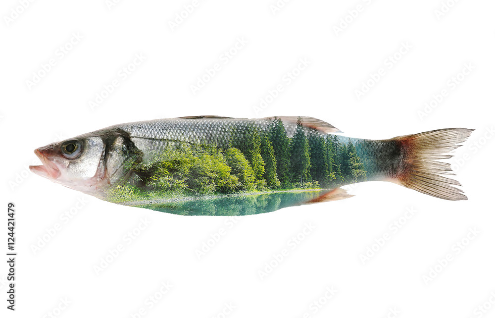 Fototapeta premium Fish and nature 