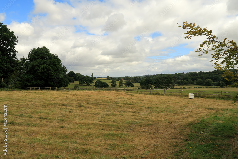 Fototapeta premium The fields and meadows of the Lamberhurst countryside