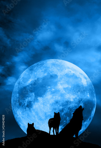 Wolf pack with moon over night sky