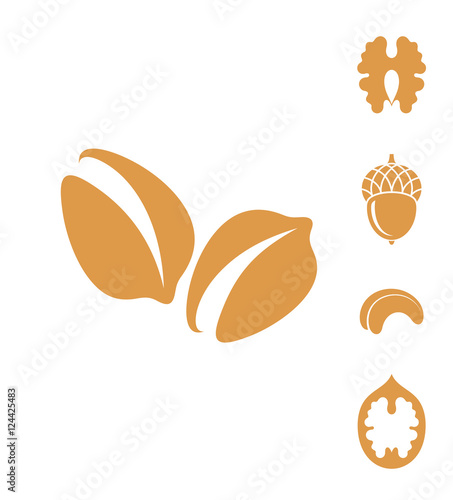 Nuts. Vector illustration