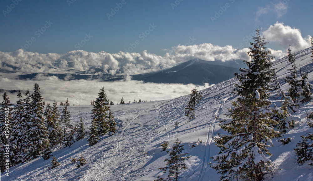 Dragobrat Ukraine. Alpine scenic Ski resort