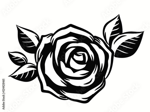 beautiful roses flower