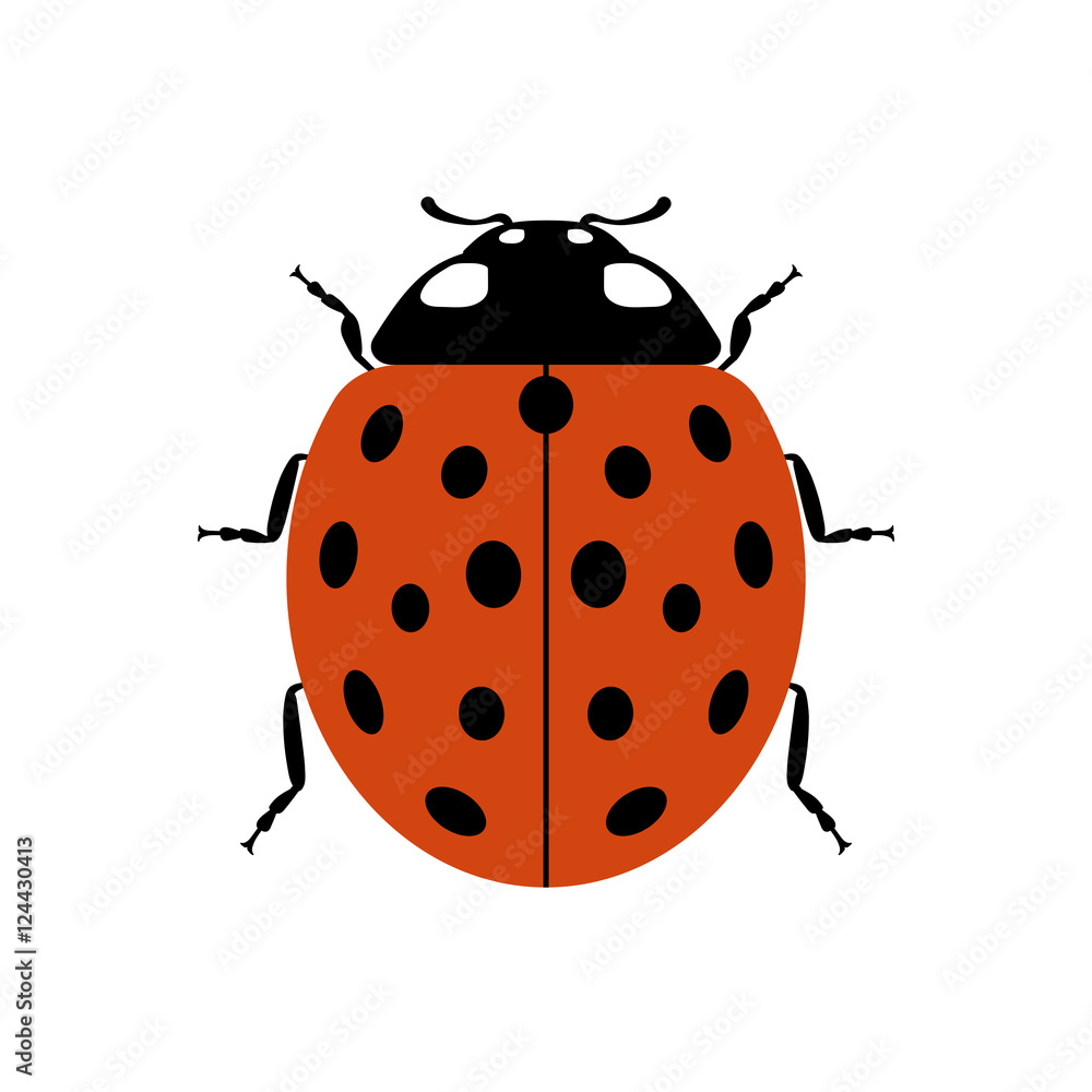 Ladybug small icon. Red lady bug sign, isolated on white background. Wildlife animal design. Cute colorful ladybird. Insect cartoon beetle. Symbol of nature, spring, summer. Vector illustration Ladybug small icon. Red lady bug sign, isolated on white background. Wildlife animal design. Cute colorful ladybird. Insect cartoon beetle. Symbol of nature, spring, summer. Vector illustration