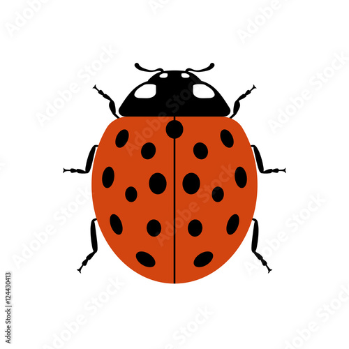 Ladybug small icon. Red lady bug sign, isolated on white background. Wildlife animal design. Cute colorful ladybird. Insect cartoon beetle. Symbol of nature, spring, summer. Vector illustration © alona_s