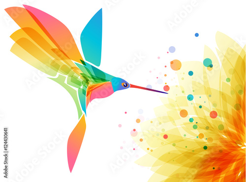 Сolibri bird and flower