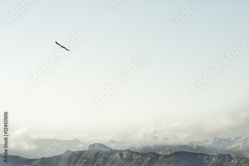 Rocky Mountains and flying eagle bird Landscape minimalistic style scenic aerial view