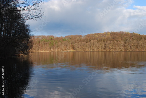Trześniowskie