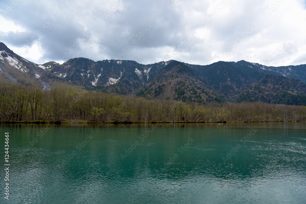 Fototapeta premium 春の大正池