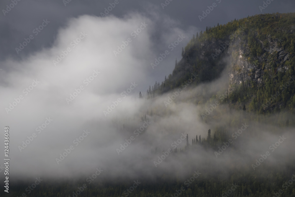 Mist shrouded the pine forest while the sun lights up the mountain slope 