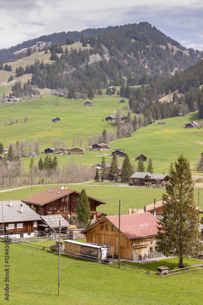 Typical Swiss village on valley.