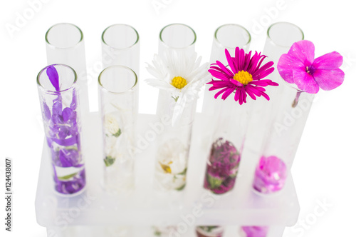 Different flowers in tubes on a tripod. On white, isolated background. © redfox331