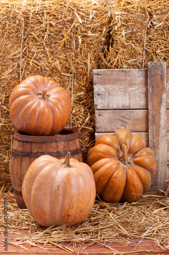 Autumn Pumpkin Thanksgiving Background . Orange pumpkins over wooden table.Pumpkins and straw in old barn