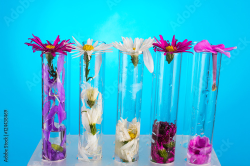 Fototapeta Naklejka Na Ścianę i Meble -  Different flowers in tubes on a tripod. On a blue background.