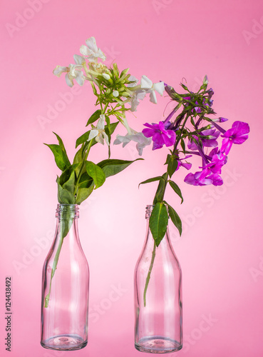 Couple of flowers are in small glass bottles. On a pink background.