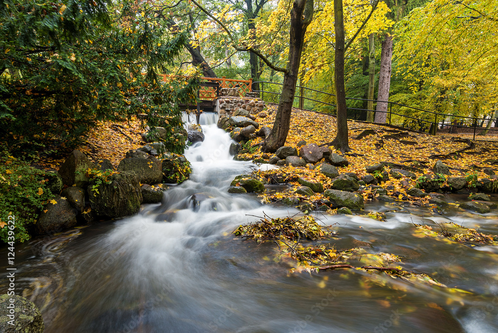 Beautiful small waterfall in the Oliwa Park in autumnal scenery. Gdansk. Poland.