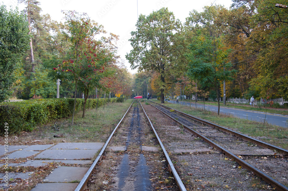 Fototapeta premium empty tram rail track in forest