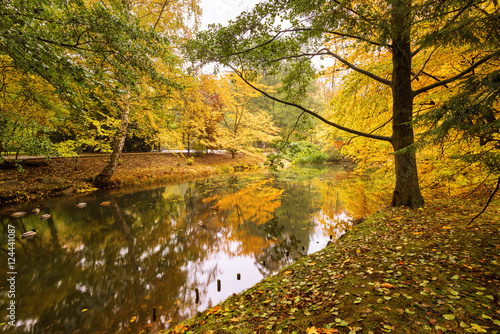 Autumn in the Oliwa park in Gdansk, Poland