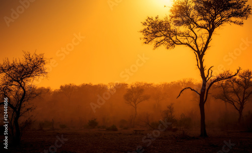 A Dusty Sunrise in South Africa