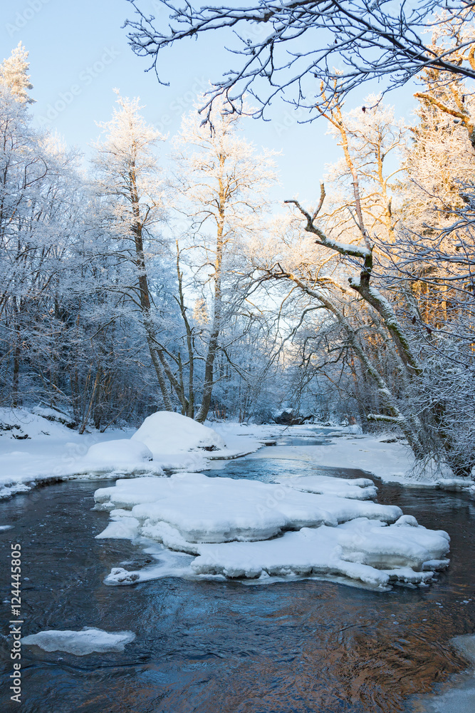 Canyon with river and forest in winter Canyon with river and forest in winter