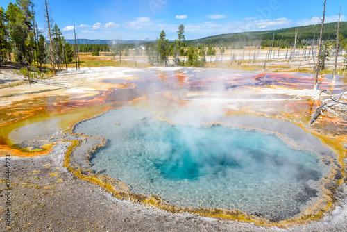 Thermal feature Yellowstone National Park