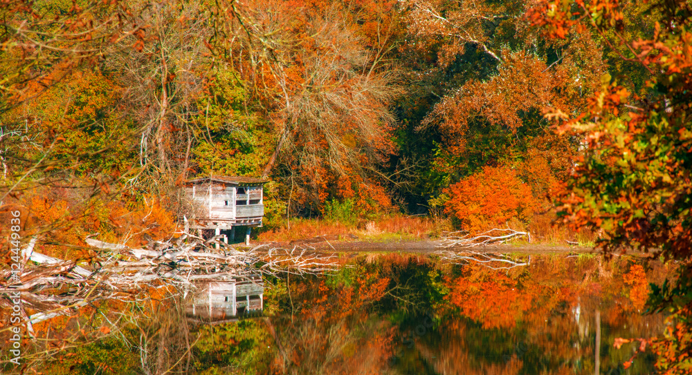 Obraz premium Herbstliche Stimmung am See