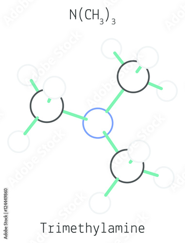 Trimethylamine C3H9N molecule