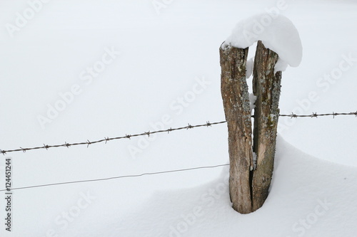 Stacheldraht im Schnee photo