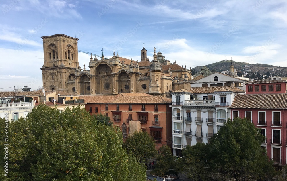 Vista de la Catedral de Granada