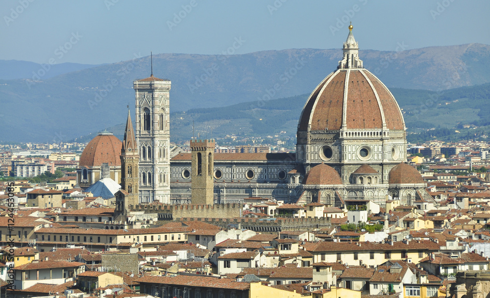 Panoramica detalle Duomo