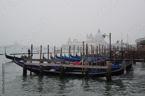 Venice  © dashel