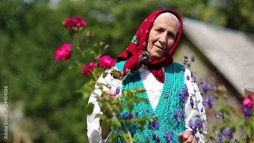 Old woman stands in flowers near his house and looks at the camera. Ukrainian elderly woman in red headscarf stands near wooden hut and looks at the camera. Female looks at the camera and smiles photo