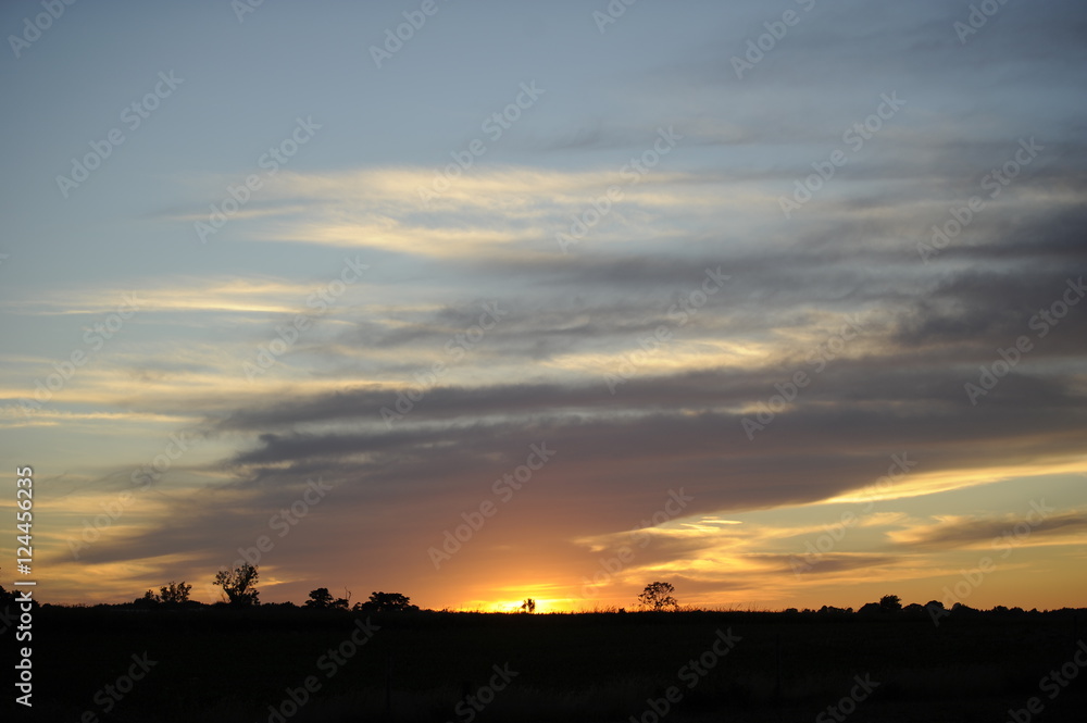 Skies Skies