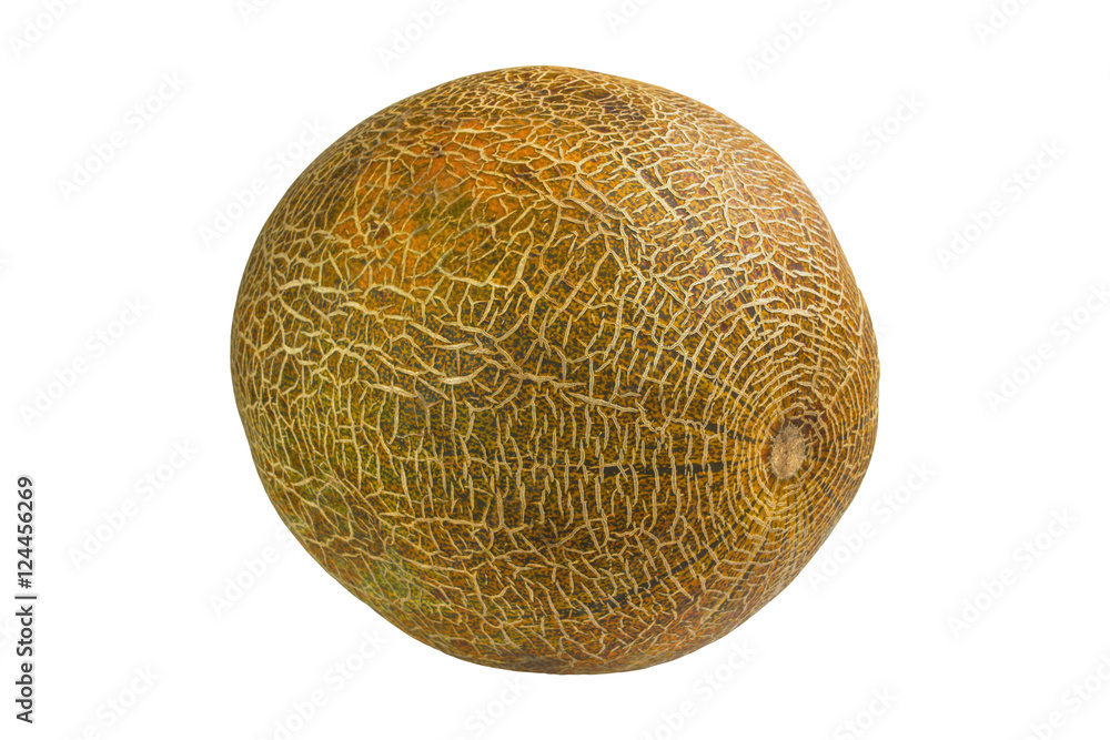 Melon insulated on white Melon insulated on white
