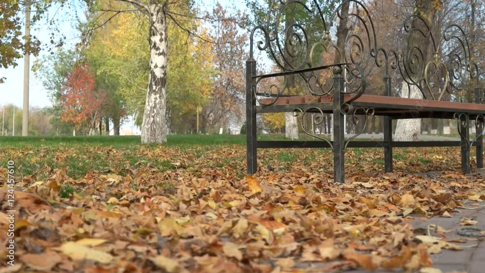 beautiful autumn park