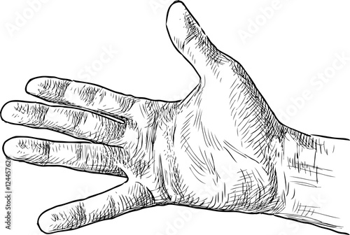 palm of male hand